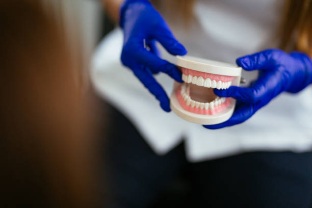 Best Dental X-Rays and Imaging  in South Beach, FL