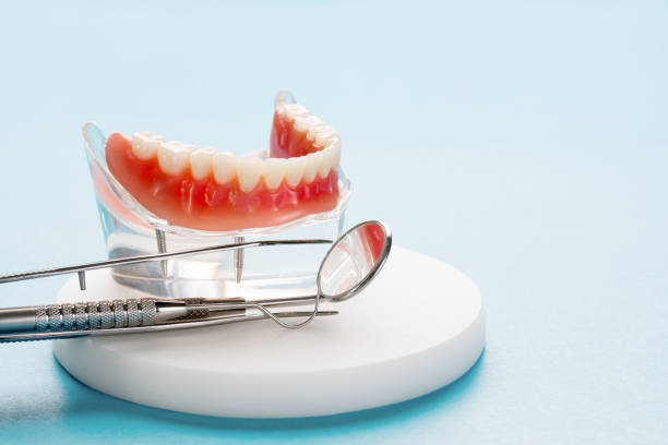 Trusted South Beach, FL  Holistic Dental Services Experts